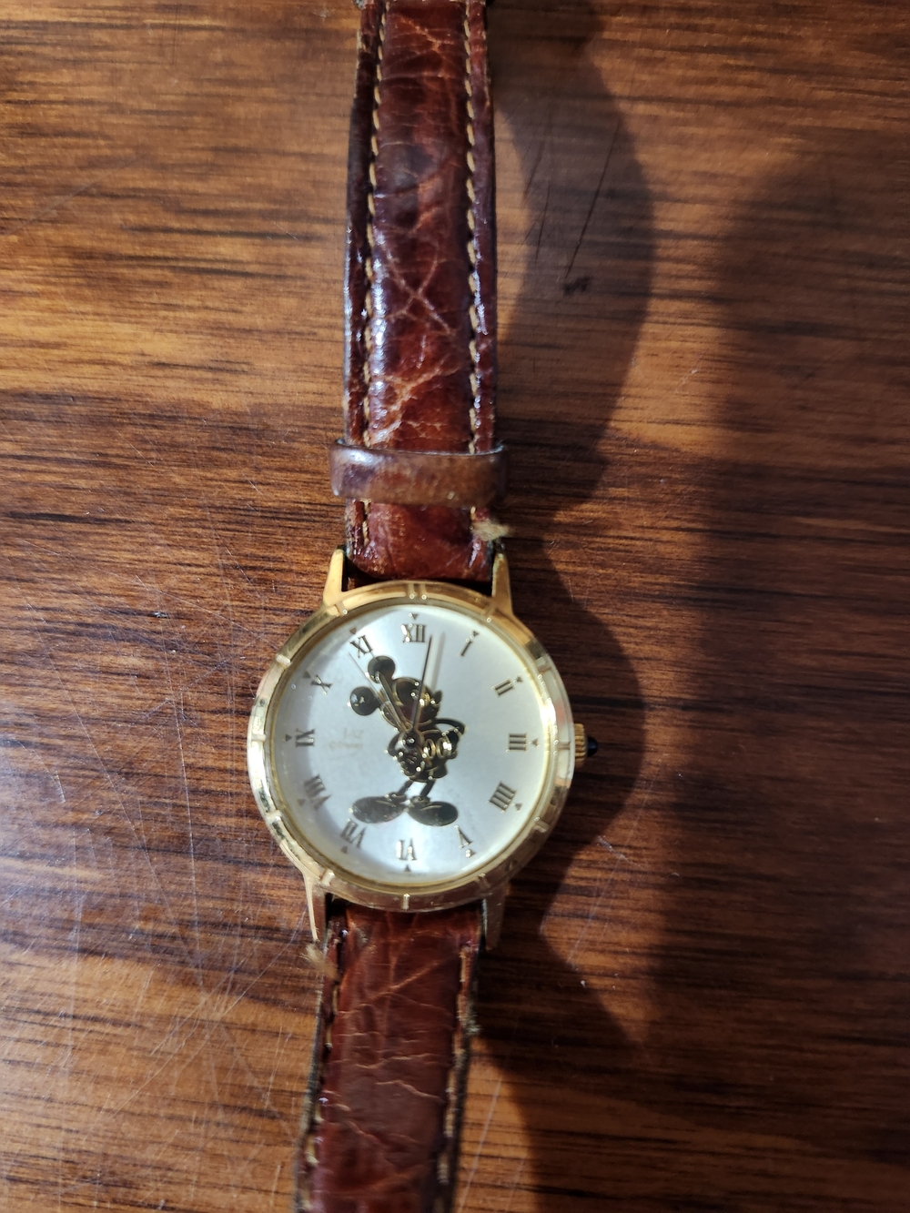 Classic Women's Brown Leather Strap Gold-Tone Character Dial Watch